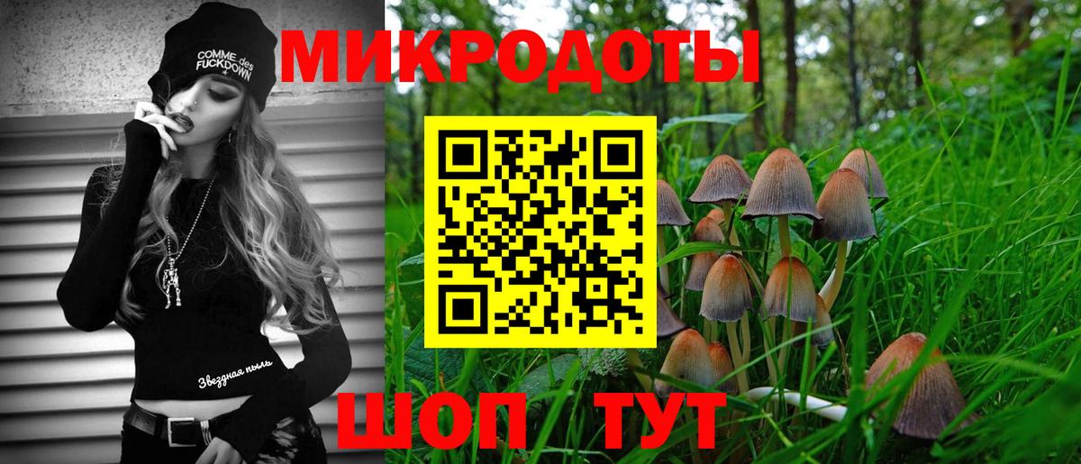 Белореченск  Псилоцибиновые грибы прущие грибы  Вход с VPN 